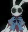 Bunny