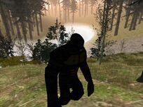 Bigfoot