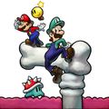 MarioLuigiInsideBowser