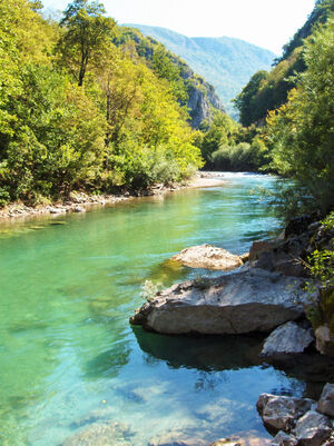 Neretva 44