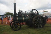 Robinson & Auden no. 1376 TE - Little Buttercup - AD 8889 at Masham 09 - IMG 0054