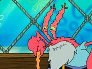 Old Crabs