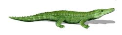 Itasuchus BW