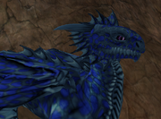 Hatchling Dragon