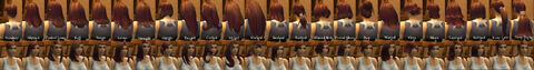 Human Female Hairstyles