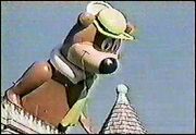 Yogi