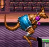 Roo.jpg