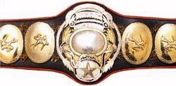 PWF_Heavyweight_Championship.jpg