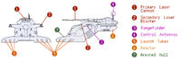 AAT2 negvv
