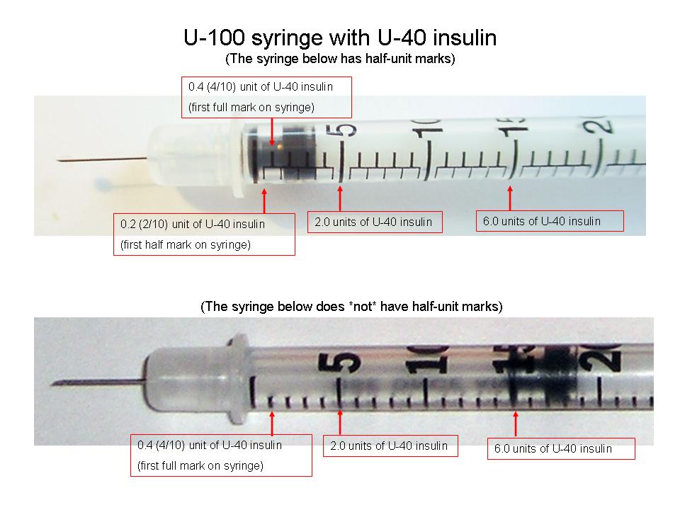 unit-canine-diabetes-wiki