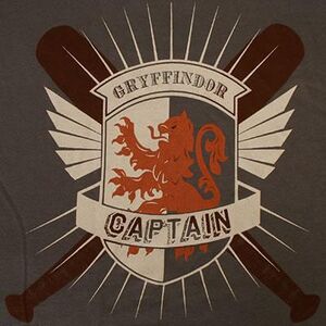 Gryffindor Quidditch Captain