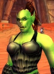 Ebonhold Armor