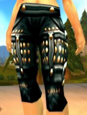 Nightshade Leggings