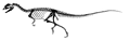 dilophosaurus skeleton