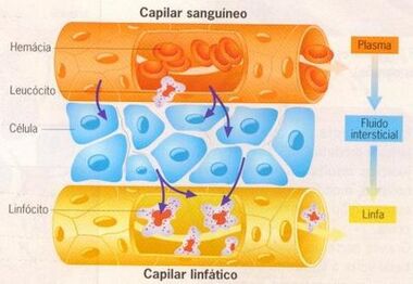Gabib1