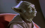 Yoda a Tanácsban