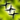 Ico poisoned caltrop trap