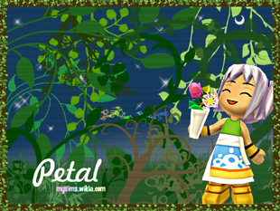 Nature Petal Wallpaper