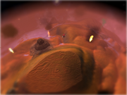 Planeta arido