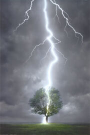 2400-4570Lightning-Striking-Tree-Po