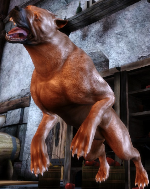 mabari dragon age origins