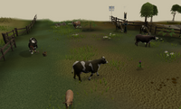 Cowfield