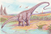 Apatosaurus33
