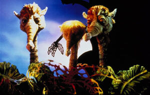 Pan creatures