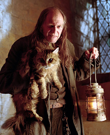 Harry Potter Hausmeister Harry Potter Hausmeister