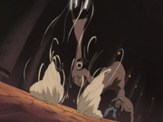 Narusakuvsarashi2