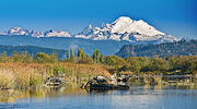 Mountbaker