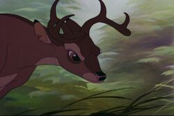 Bambi 353