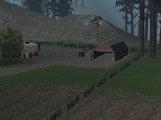 Hippie's Farm