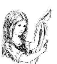 Carroll-Alice