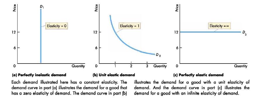 image-elasticity-jpg-central-economics-wiki-wikia