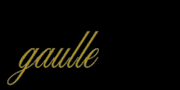 Gaulle-GTASA-logo