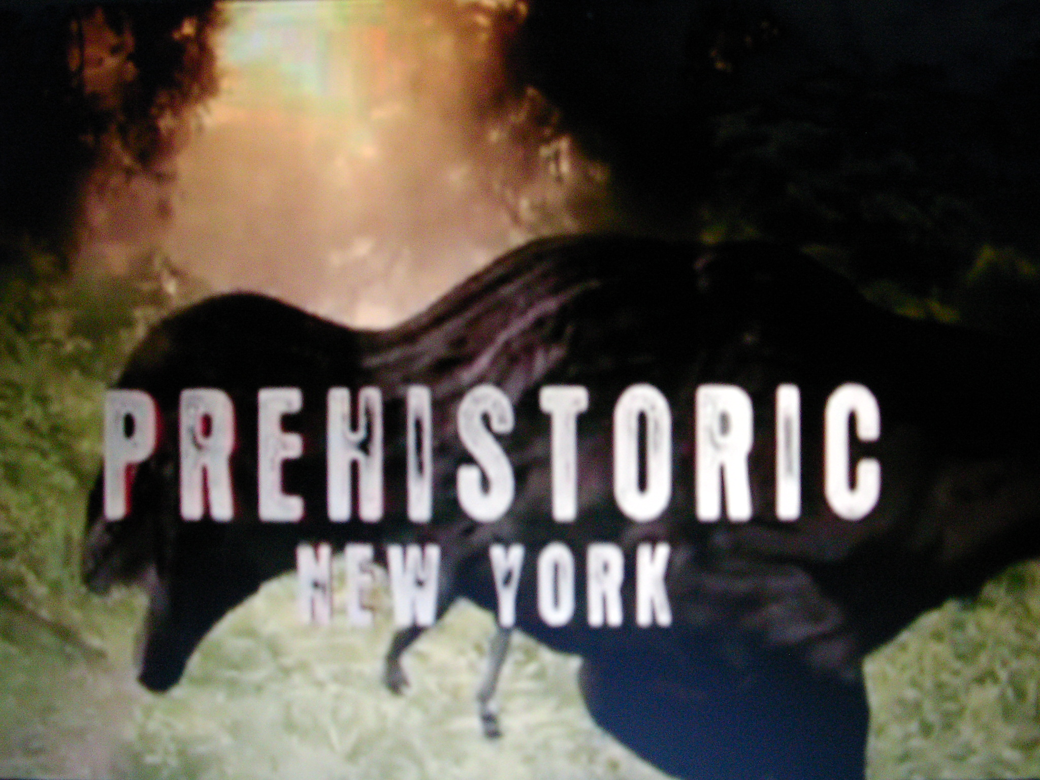 new york prebysterian