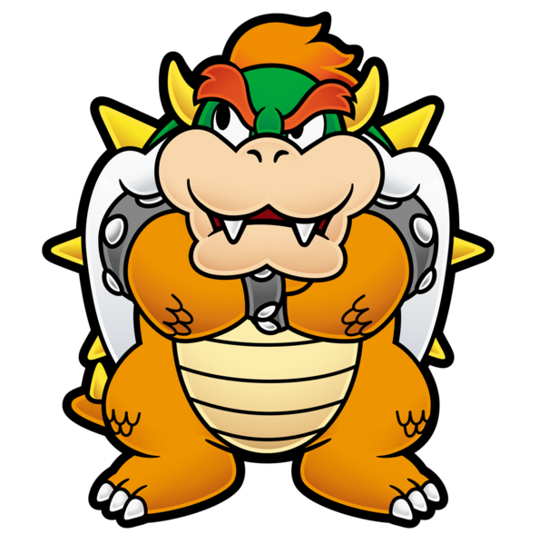 paper fury bowser