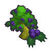 100 Juniper