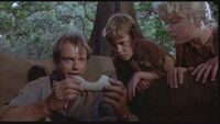 Dino eggs