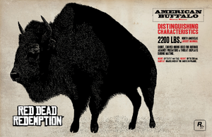American Buffalo