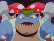 EP020 Venustoise