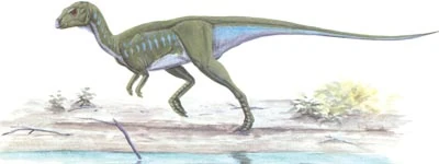 Orodromeus Dinosaur Wiki