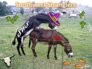 Sws