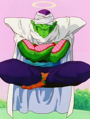 Piccolo 5