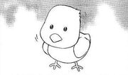 Birdia