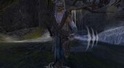 VengefulDrownedOne