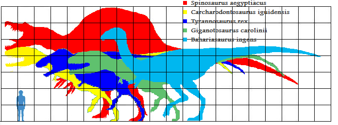 biggest theropod