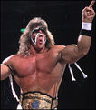 13 The Ultimate Warrior 1