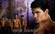 New-Moon--Werewolves-twilight7428188-1920-12001-1024x640